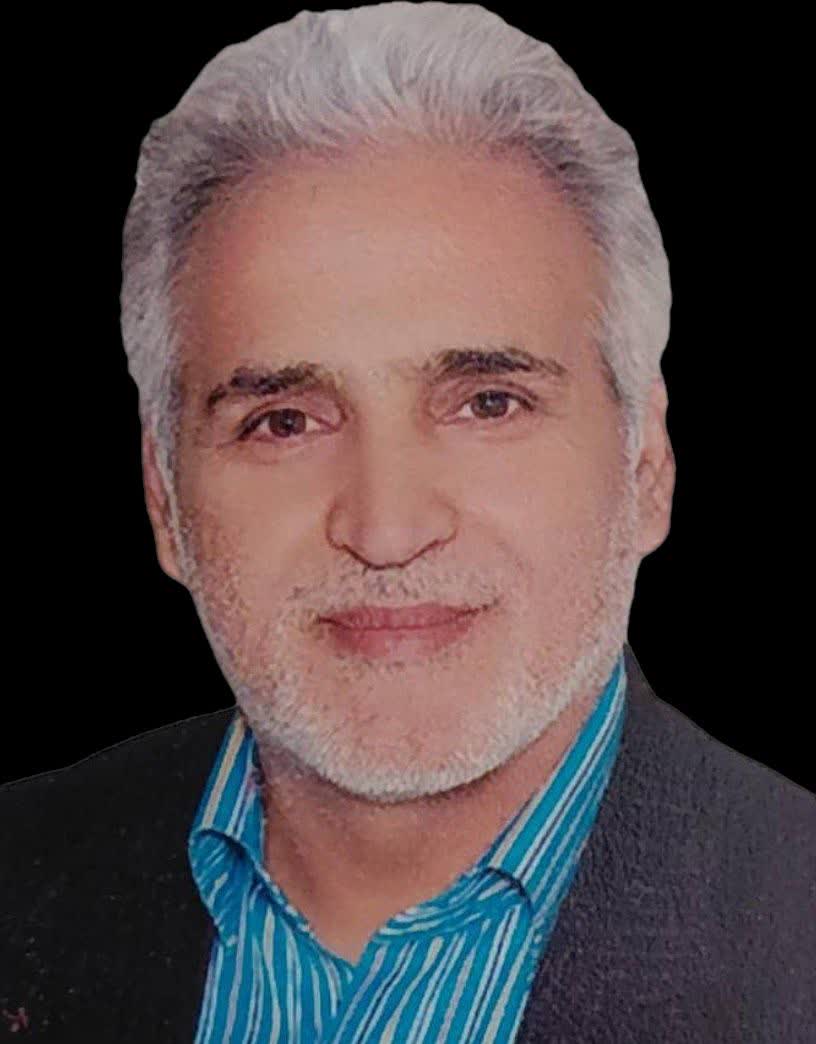 حسن محمدی دولت آبادی